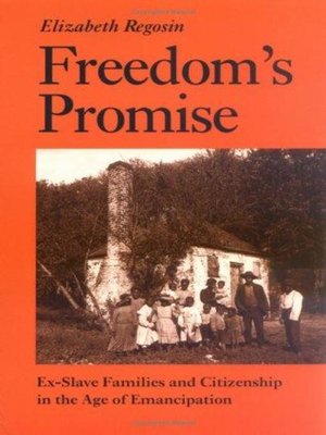 cover image of Freedom's Promise